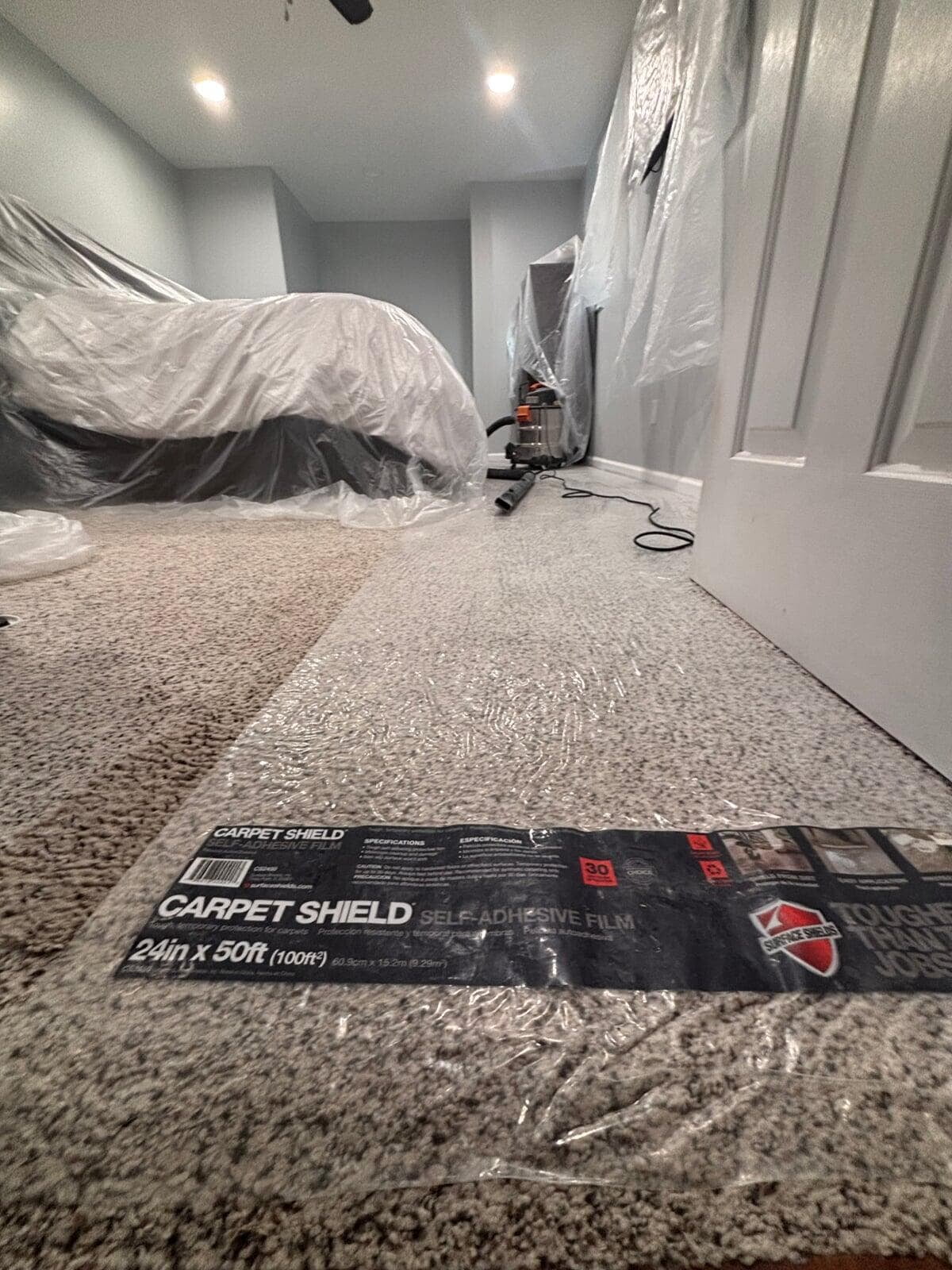 carpet shield